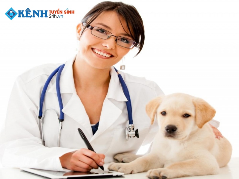 Ngành thú Y học ra làm gì? Cơ hội việc làm ra sao?